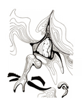 Clean Up - TopoErotic Series - Art Print
