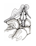 Keep the Rhythm - TopoErotic Series - Art Print