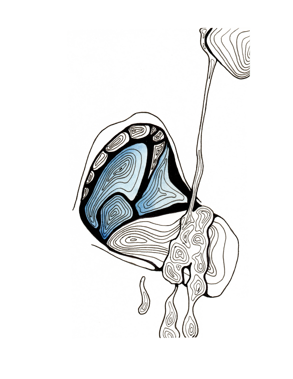 TopoErotic Series - The Complete Collection - 14 Art Prints
